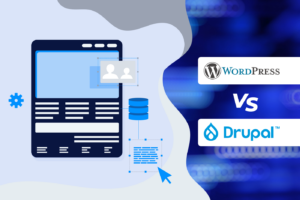 Ultimate Drupal 11 vs. WordPress guide - Choosing Best CMS 2024